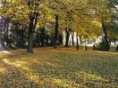 Podzim 2008 u �koly