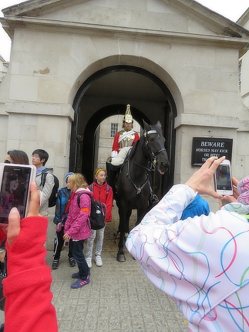 img00046.jpg