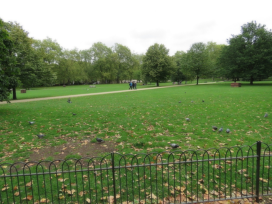 img00050.jpg