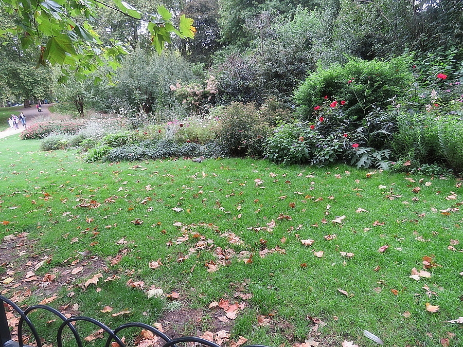 img00051.jpg