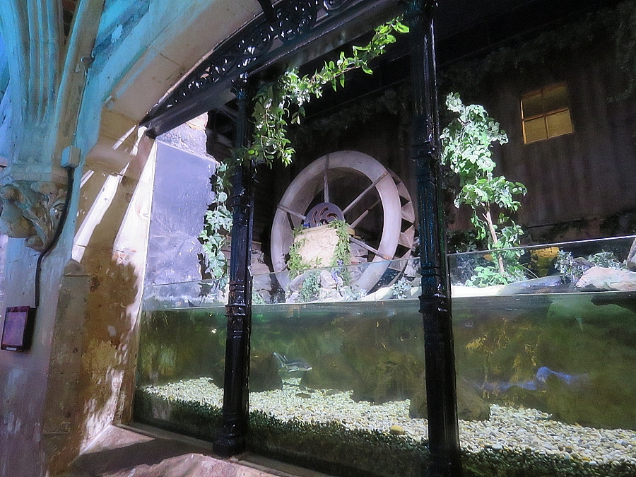img00072.jpg