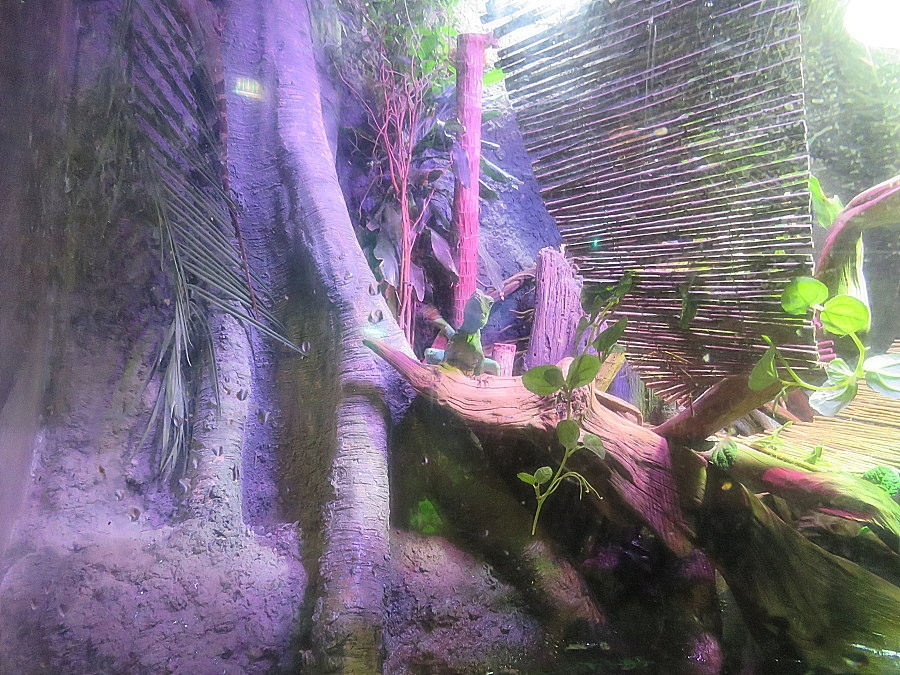 img00079.jpg