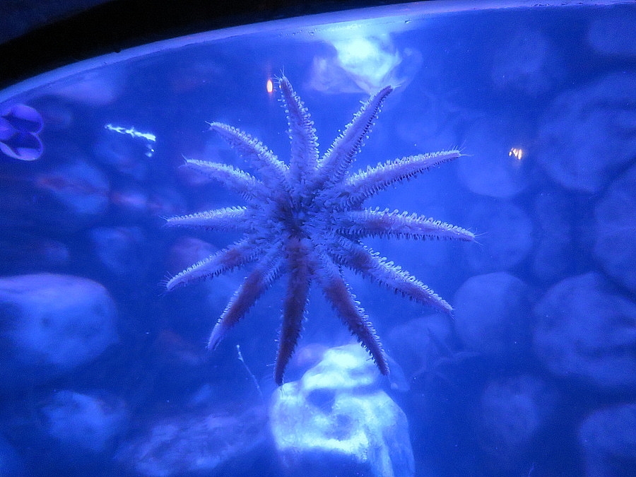 img00088.jpg