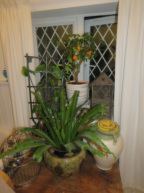 img00204.jpg
