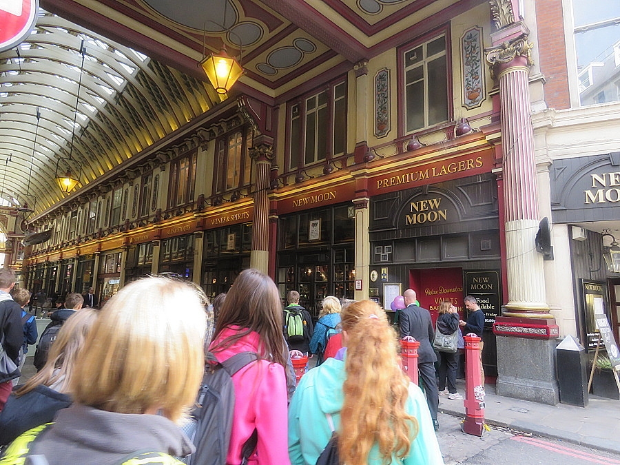 img00223.jpg