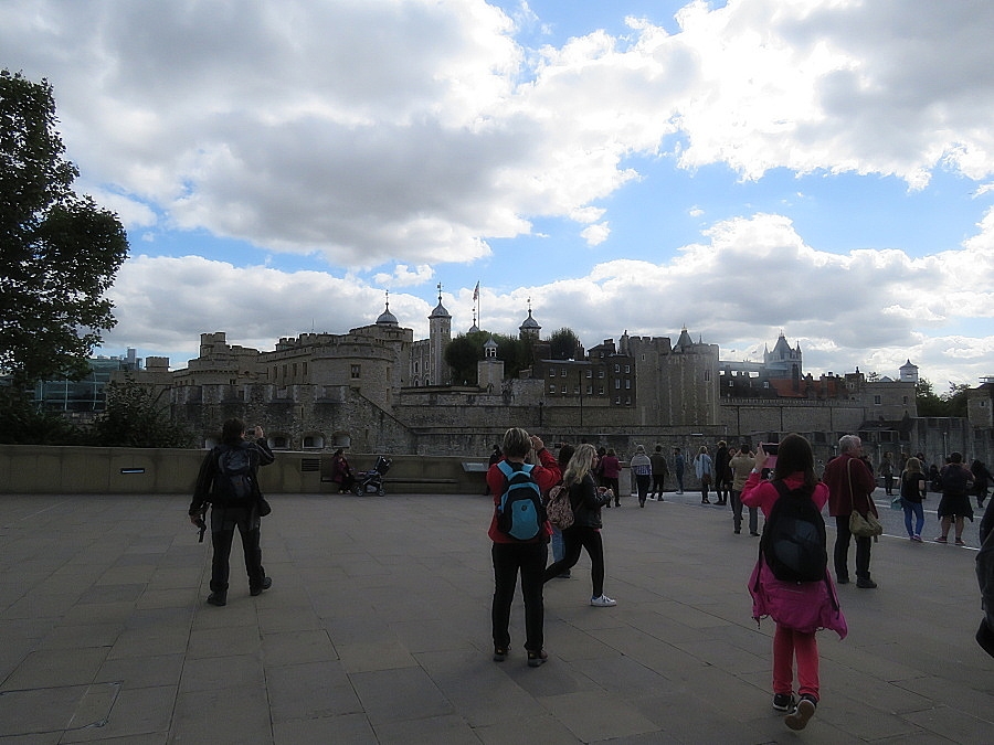 img00231.jpg