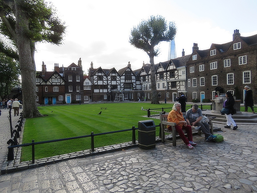 img00245.jpg