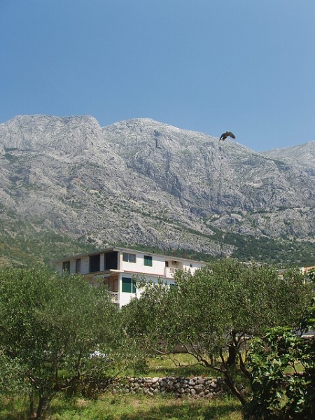 Chorvatsko, 2010