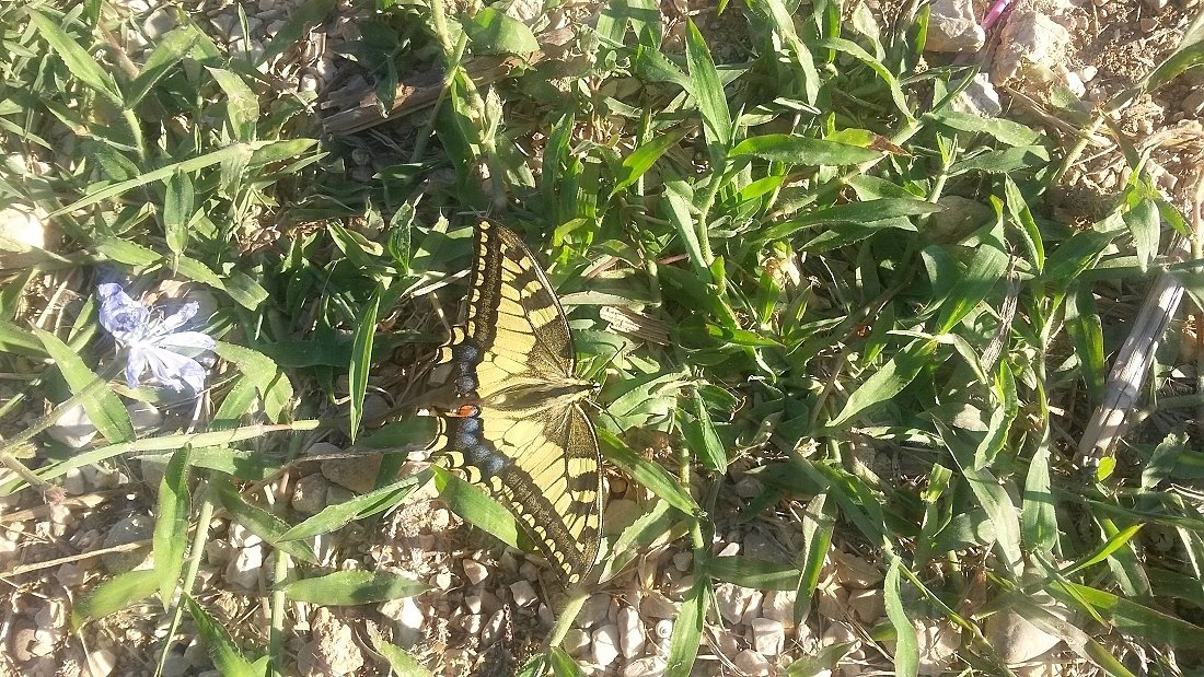 Pobytový zájezd do Chorvatska, Gradac, červen 2018