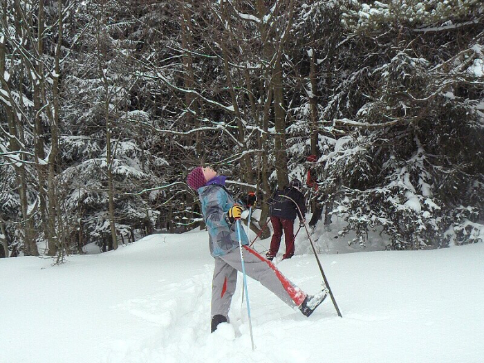 Lyžařský výcvik VII. tř., únor 2012