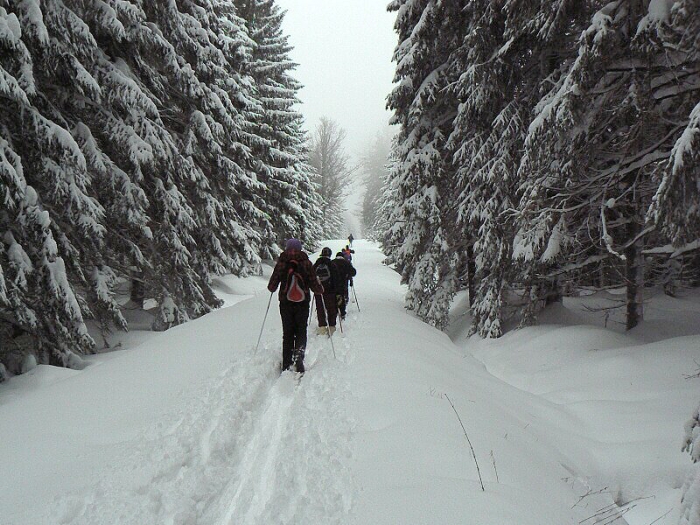 Lyžařský výcvik VII. tř., únor 2012