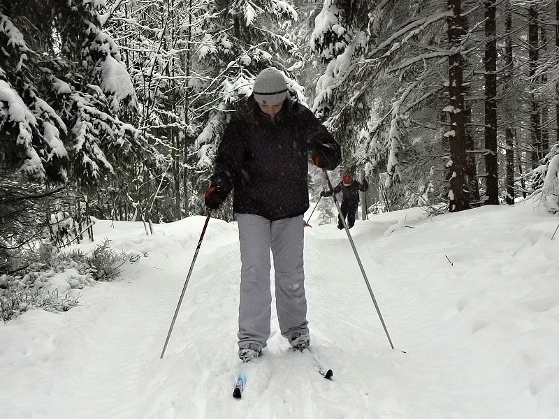 Lyžařský výcvik VII. tř., únor, leden 2013