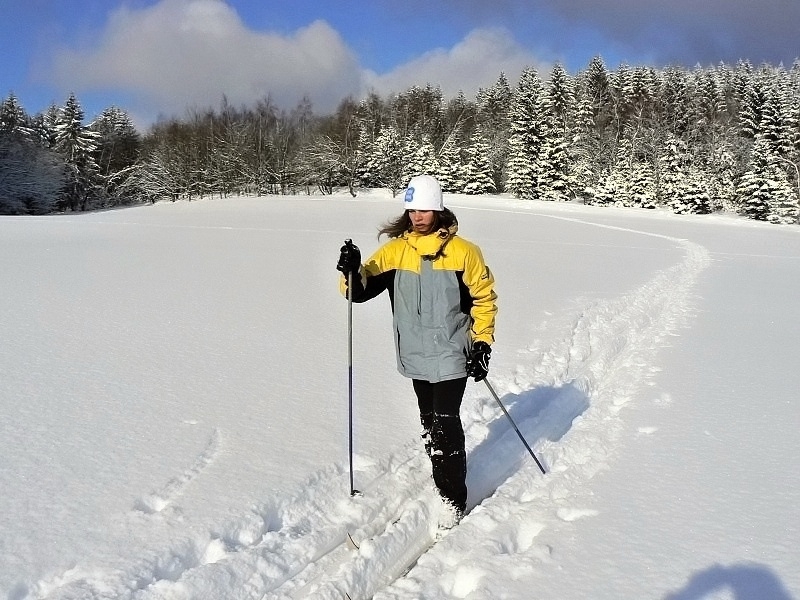Lyžařský výcvik VII. tř., únor, leden 2013