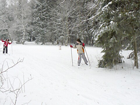 Lyžák 2009