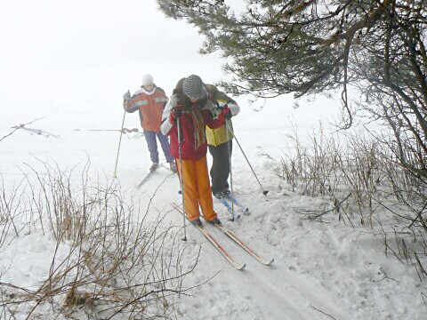 Lyžák 2009