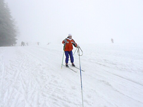 Lyžák 2009