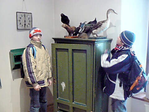 Lyžák 2009