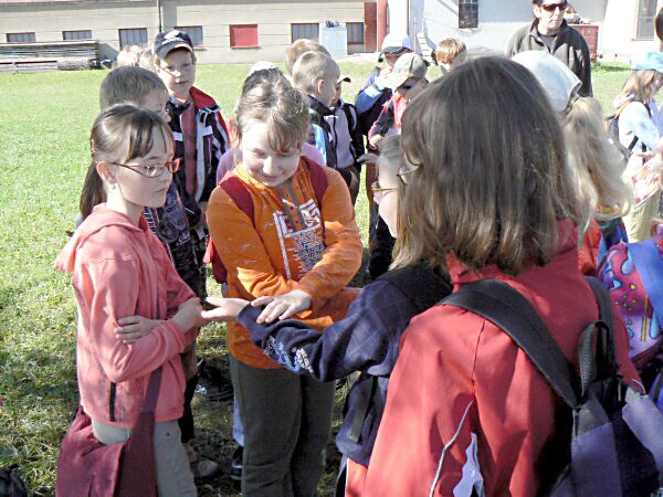 Mimořádné situace, 2010