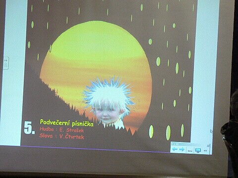 Krounský muzikus 2010