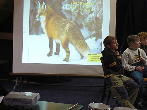 Krounský muzikus 2010
