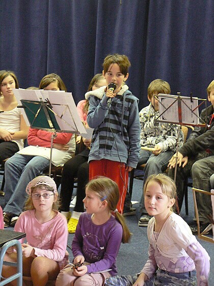 Krounský muzikus 2010