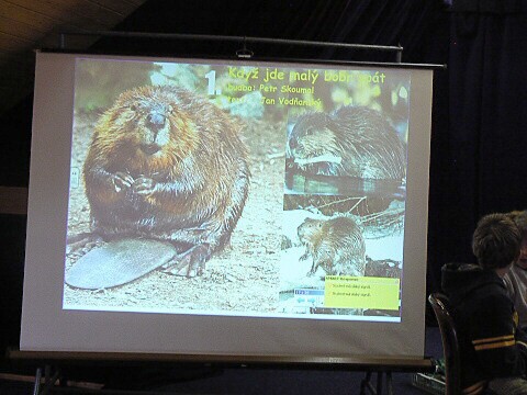 Krounský muzikus 2010