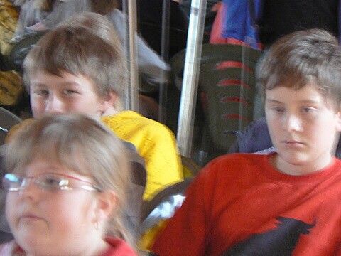 Krounský muzikus 2010