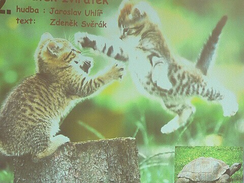 Krounský muzikus 2010