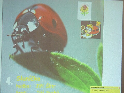 Krounský muzikus 2010