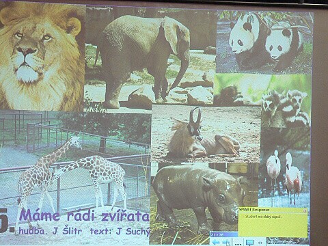 Krounský muzikus 2010