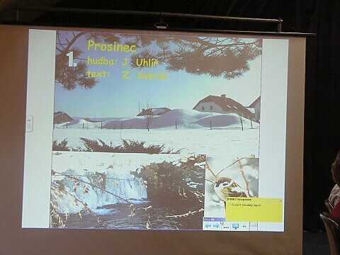 Krounský muzikus 2010