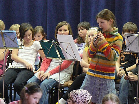 Krounský muzikus 2010