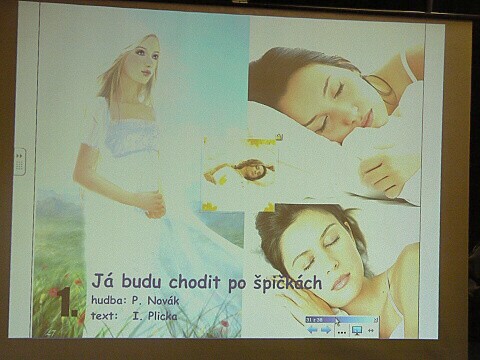 Krounský muzikus 2010