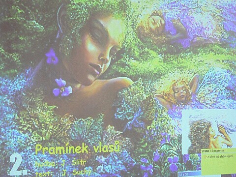 Krounský muzikus 2010