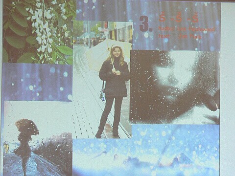 Krounský muzikus 2010