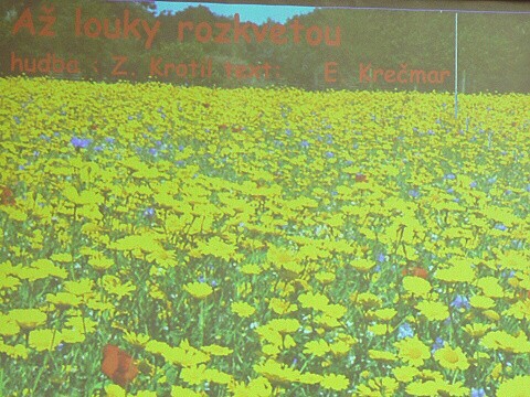 Krounský muzikus 2010