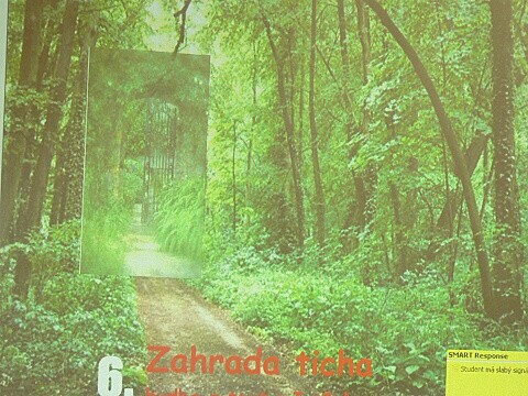 Krounský muzikus 2010