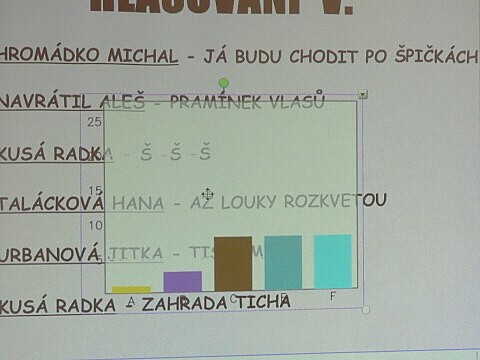 Krounský muzikus 2010