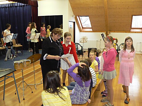 Krounský muzikus 2010