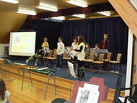 Krounský muzikus 2010