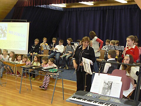 Krounský muzikus 2010