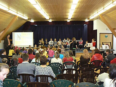 Krounský muzikus 2010