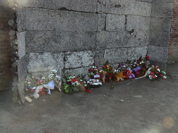 Osvětim, Wieliczka, Krakow, 27.4.2012