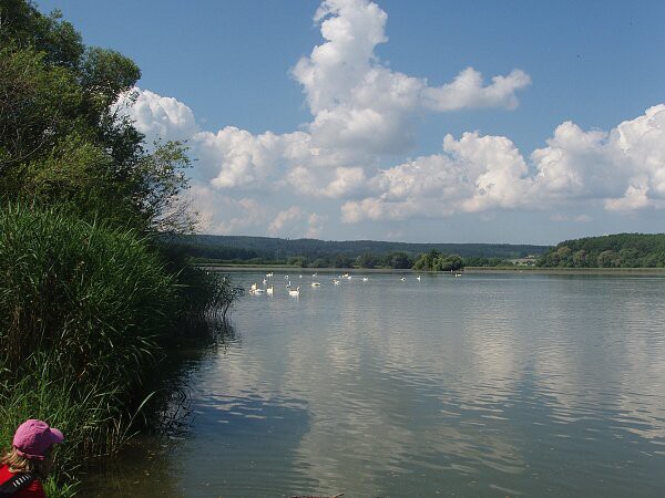 V. třída, červen 2010, výlet do Chrasti