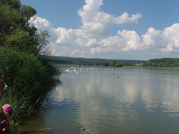 V. třída, červen 2010, výlet do Chrasti