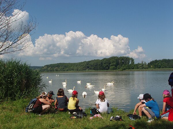 V. třída, červen 2010, výlet do Chrasti