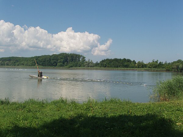 V. třída, červen 2010, výlet do Chrasti