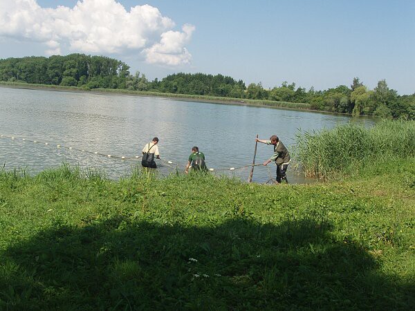 V. třída, červen 2010, výlet do Chrasti