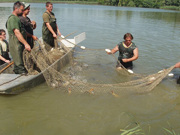 V. třída, červen 2010, výlet do Chrasti