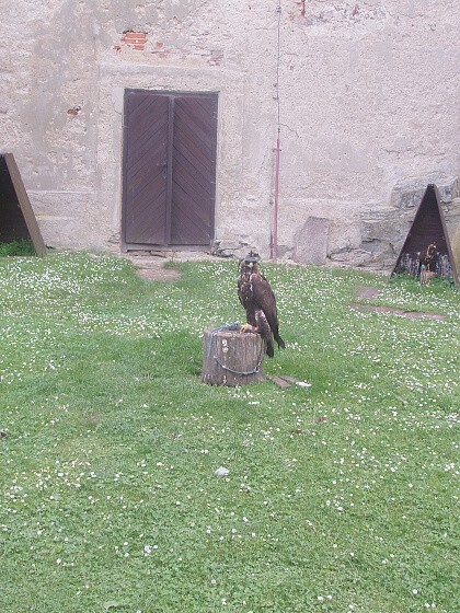 Výlet IV. + V. tř., Kutná Hora + Český Šternberk